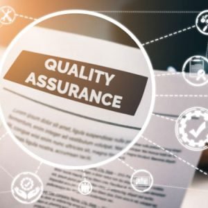 Information Systems Auditing, Controls and Assurance